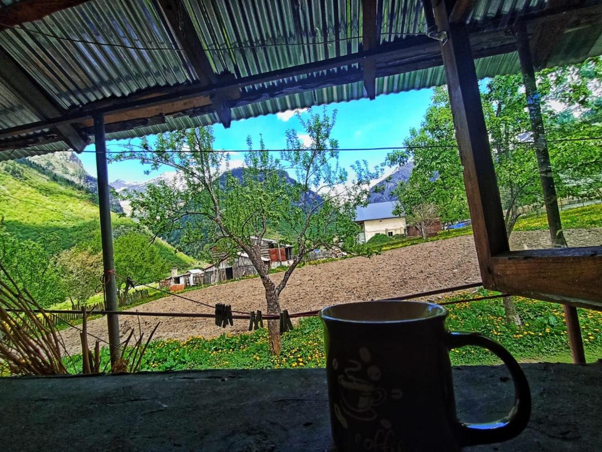 Guesthouse Mamuka Zhabesh Zhabeshi Kültér fotó