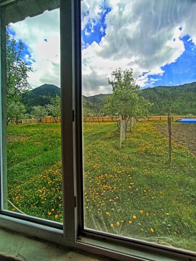 Guesthouse Mamuka Zhabesh Zhabeshi Kültér fotó