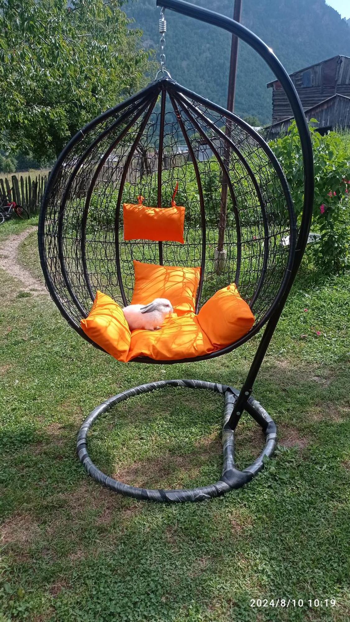 Guesthouse Mamuka Zhabesh Zhabeshi Kültér fotó