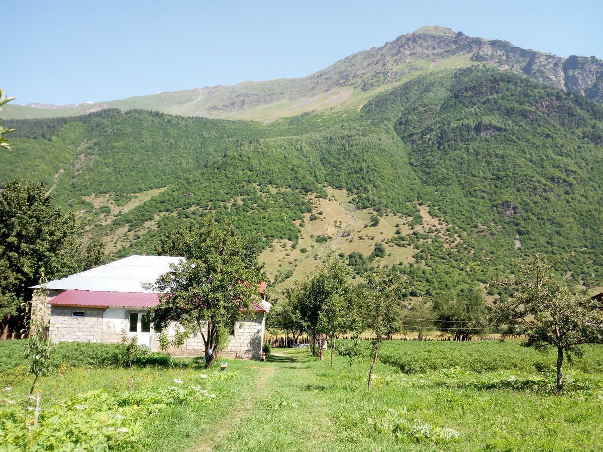 Guesthouse Mamuka Zhabesh Zhabeshi Kültér fotó