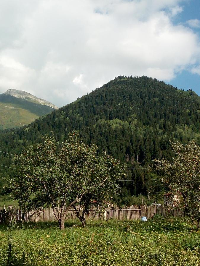 Guesthouse Mamuka Zhabesh Zhabeshi Kültér fotó