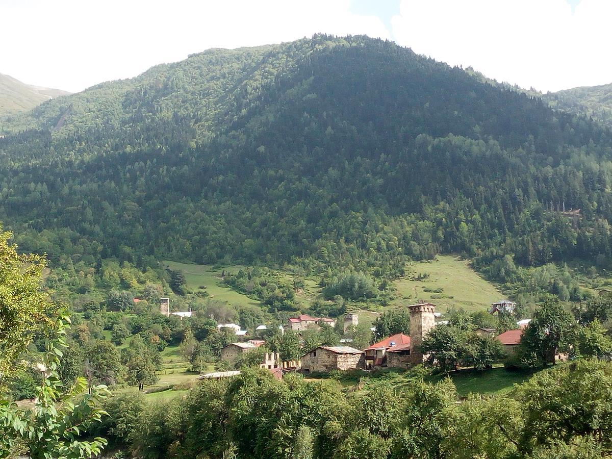 Guesthouse Mamuka Zhabesh Zhabeshi Kültér fotó