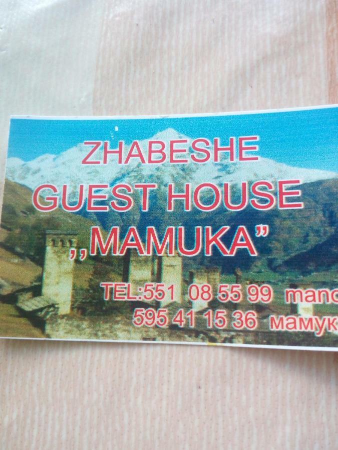 Guesthouse Mamuka Zhabesh Zhabeshi Kültér fotó